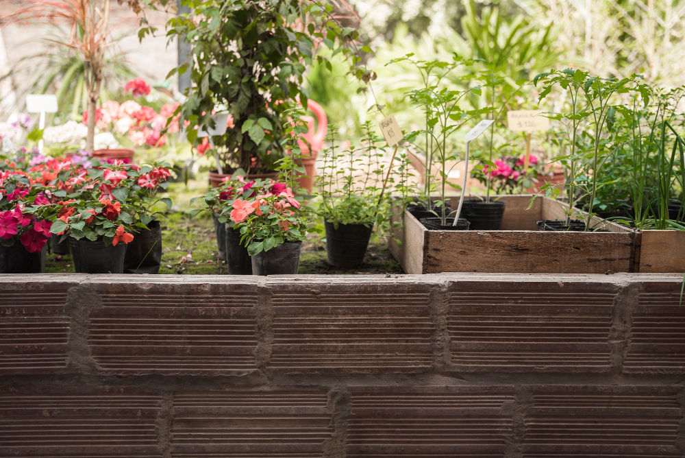 Tips for Starting a Patio Garden at Your Apartment