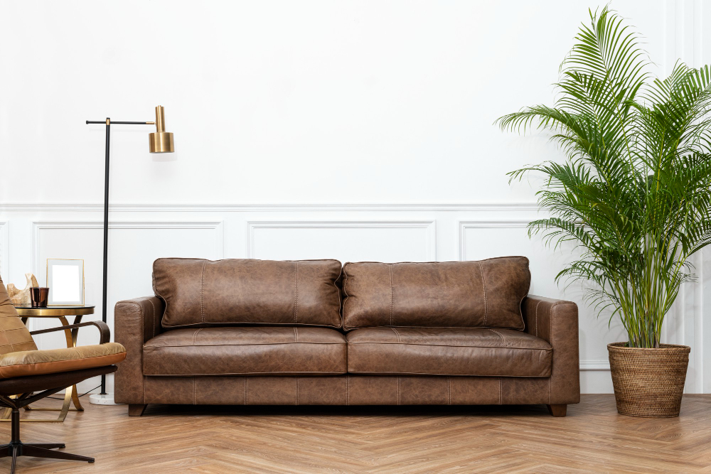 Tips to Clean Your Leather Couch